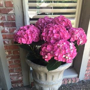 Meet your Posher, Karen